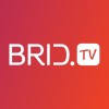 Brid.tv Logo