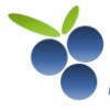 Findberry Logo